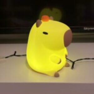 Foto del profilo di Cinzia Carletti