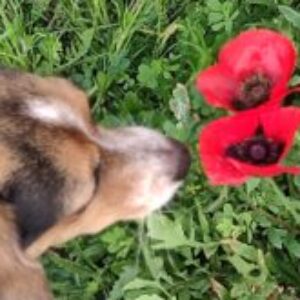 Foto del profilo di Sabina Ricciardi