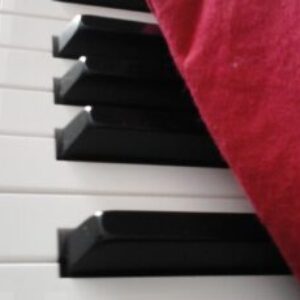 Foto del profilo di Ale Piano